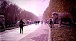 Seelenallee