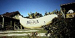 Big Banana