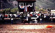 Rodeo