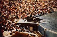 Sea World in San Diego