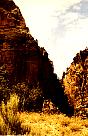 Zion National Park